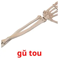 gǔ tou cartões com imagens