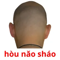 hòu nǎo sháo cartões com imagens