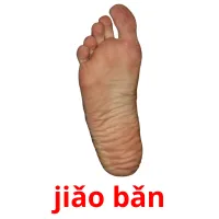 jiǎo bǎn cartões com imagens