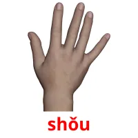 shǒu cartões com imagens