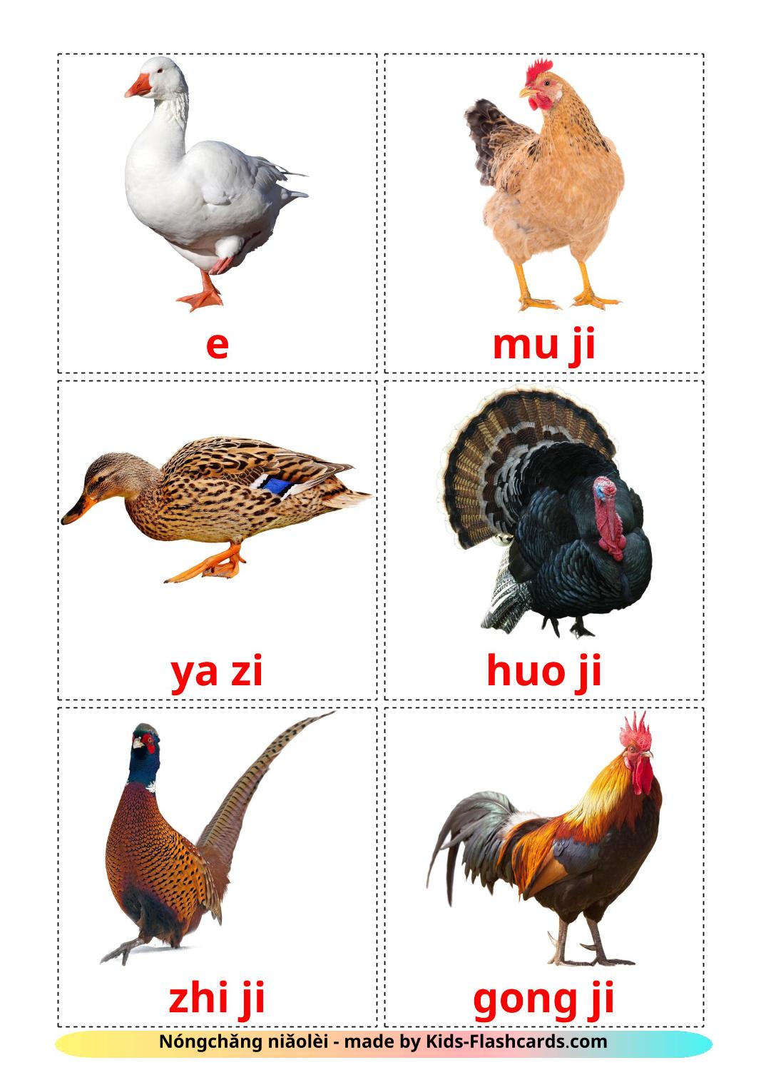 Uccelli di fattoria - 11 flashcards pinyin stampabili gratuitamente