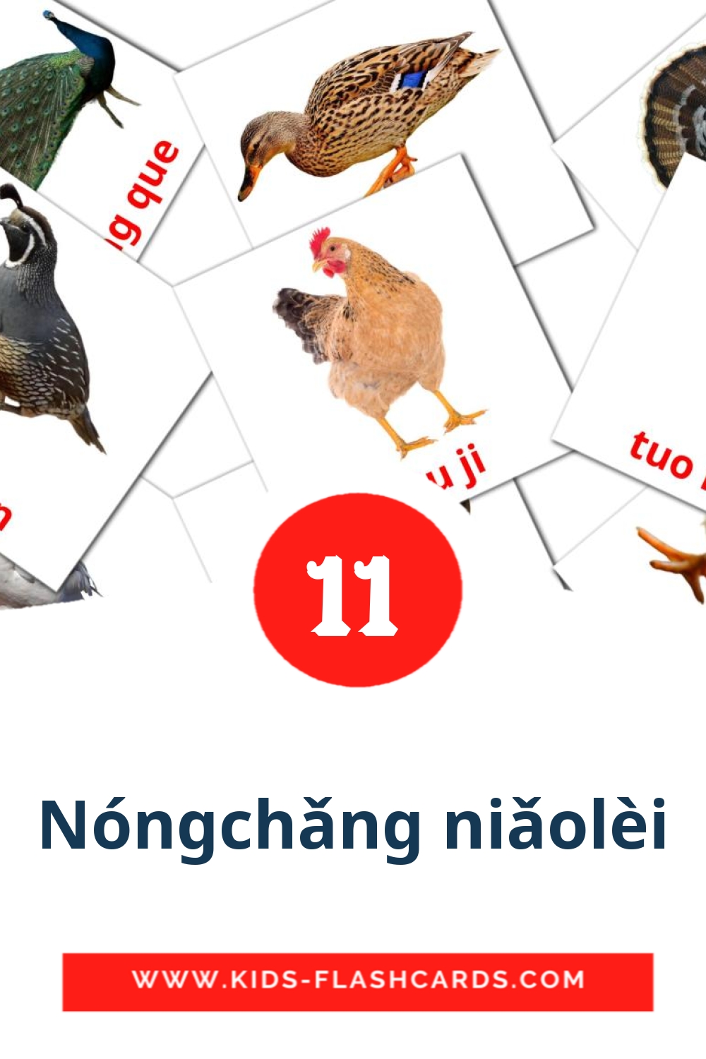 11 carte illustrate di Nóngchǎng niǎolèi per la scuola materna in pinyin