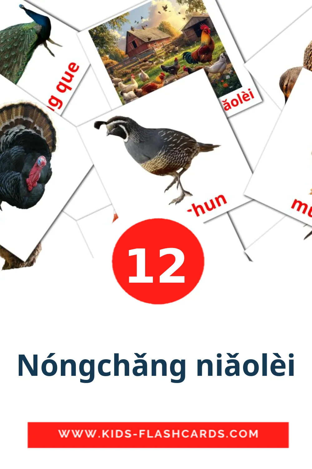 12 carte illustrate di Nóngchǎng niǎolèi per la scuola materna in pinyin