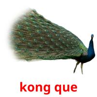 kong que flashcards illustrate