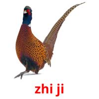 zhi ji cartões com imagens