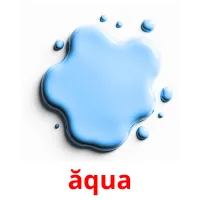 ăqua карточки энциклопедических знаний