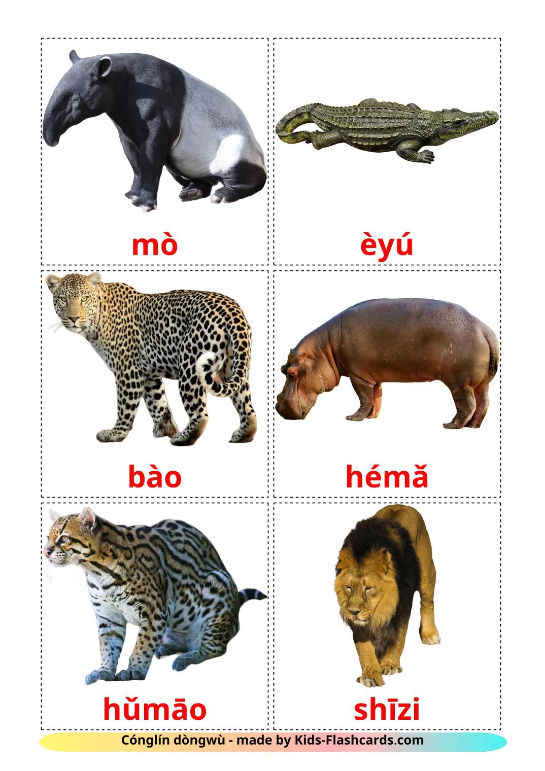 Animales de la Selva - 22 fichas de pinyin para imprimir gratis 