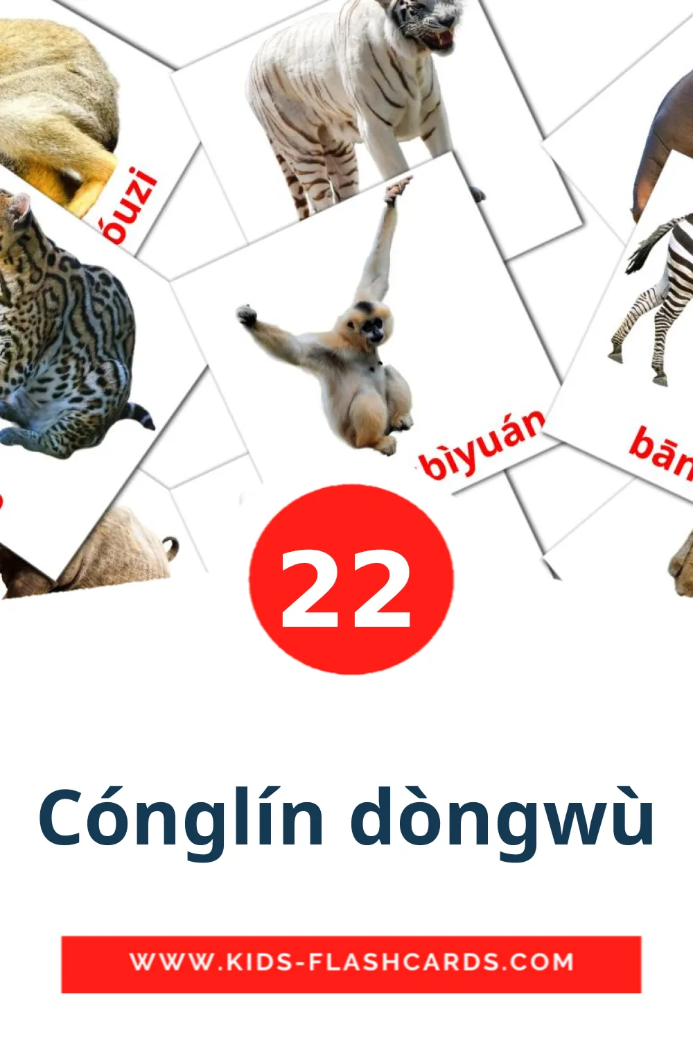 22 tarjetas didacticas de Cónglín dòngwù para el jardín de infancia en pinyin