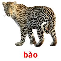 bào picture flashcards