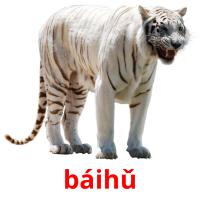 báihǔ picture flashcards
