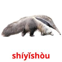 shíyǐshòu card for translate