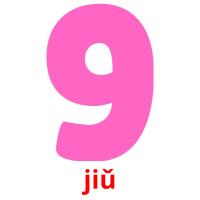 jiǔ card for translate