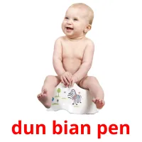 dun bian pen picture flashcards