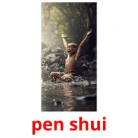 pen shui picture flashcards