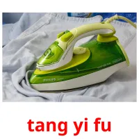 tang yi fu picture flashcards
