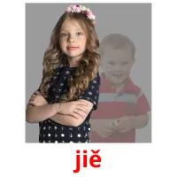 jiě picture flashcards