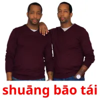 shuāng bāo tái picture flashcards