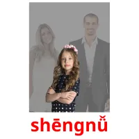 shēngnǚ picture flashcards