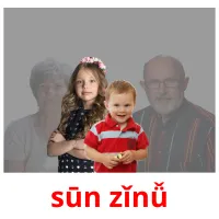 sūn zǐnǚ picture flashcards