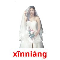 xīnniáng picture flashcards