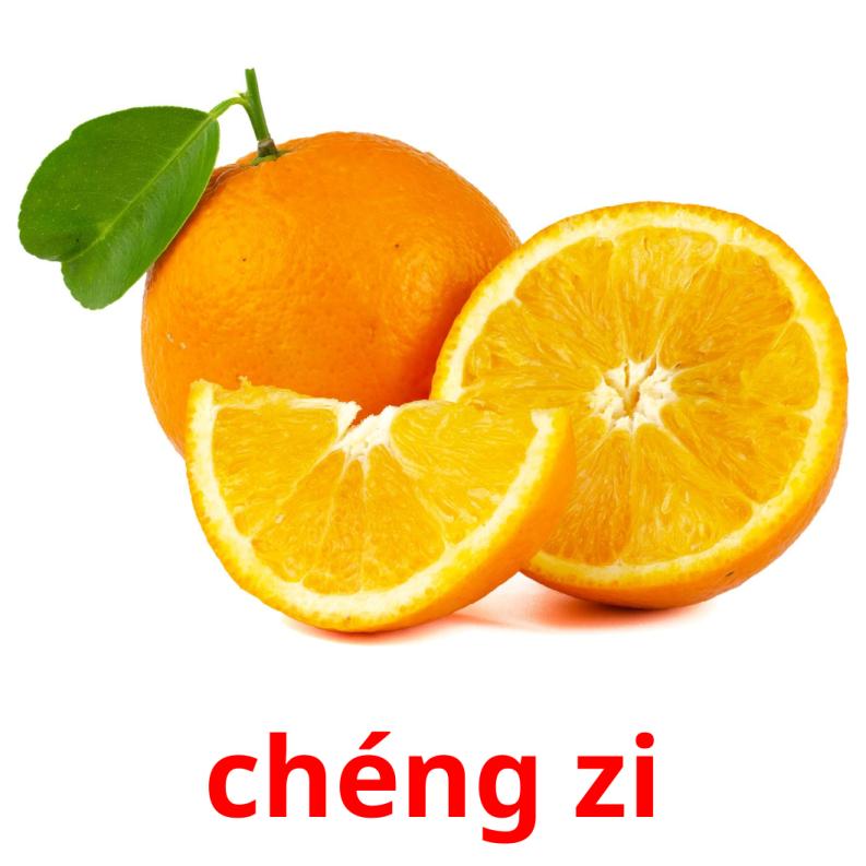 chéng zi picture flashcards