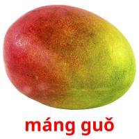 máng guǒ picture flashcards