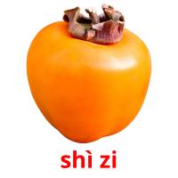 shì zi picture flashcards
