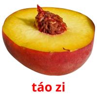 táo zi picture flashcards