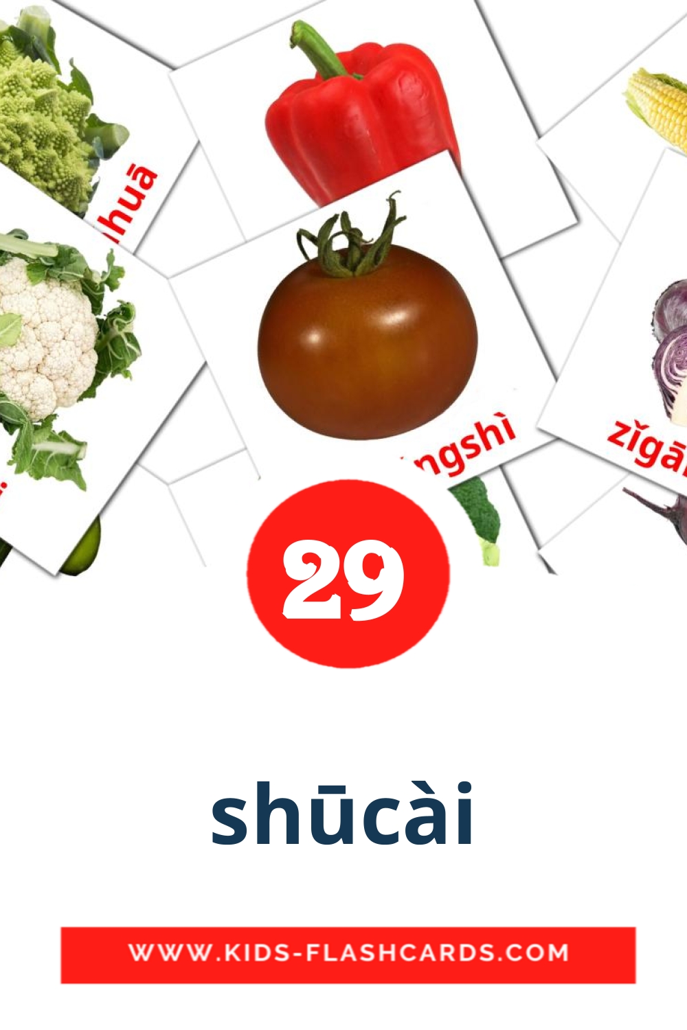 29 tarjetas didacticas de shūcài para el jardín de infancia en pinyin