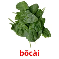 bōcài cartões com imagens