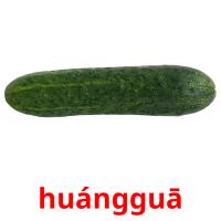 huángguā picture flashcards