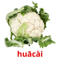 huācài cartões com imagens