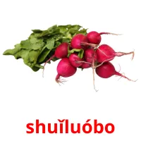 shuǐluóbo cartões com imagens