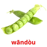 wāndòu cartões com imagens