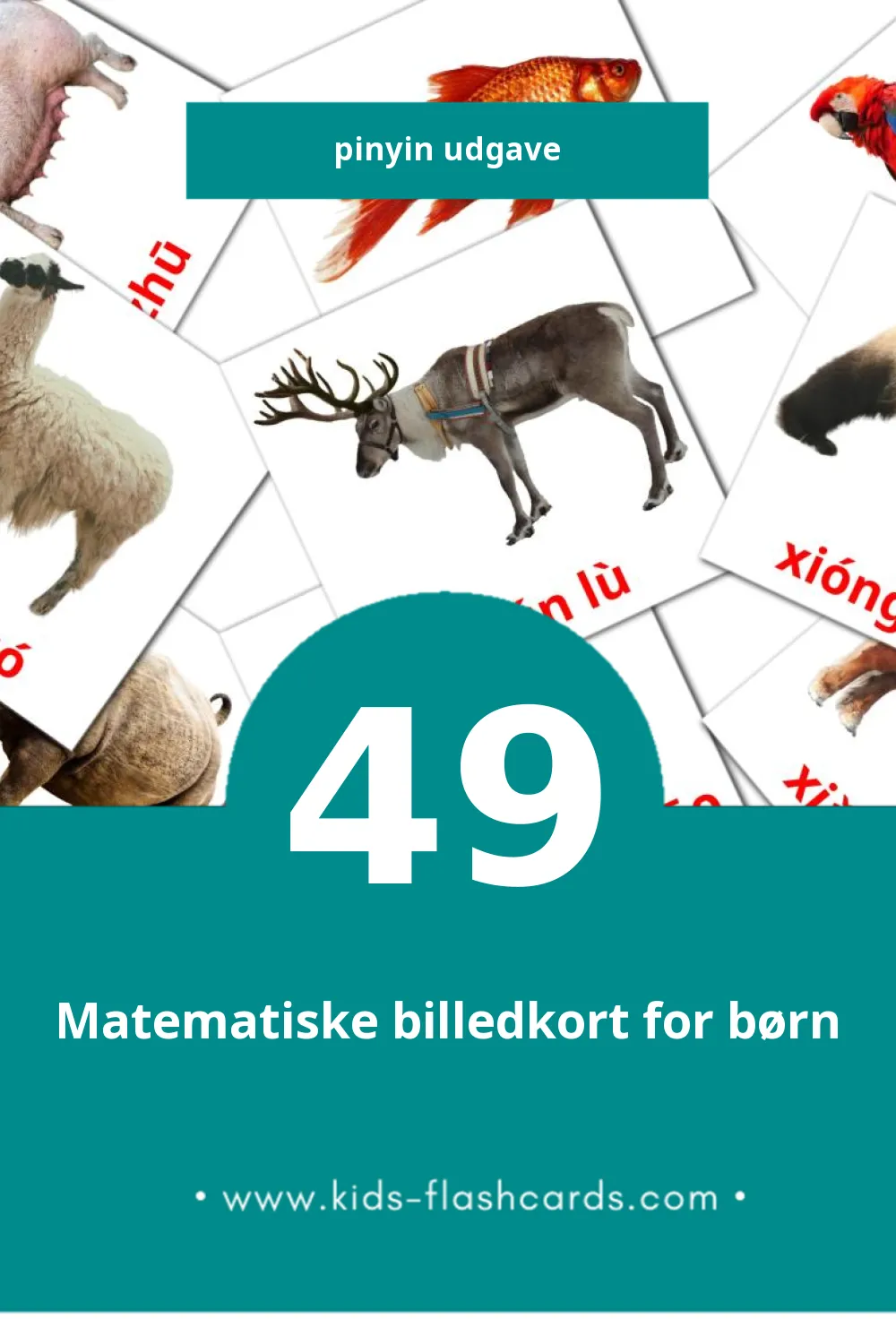 Visuelle billedkort for børn om Dòngwù til småbørn (49 kort på Pinyin)