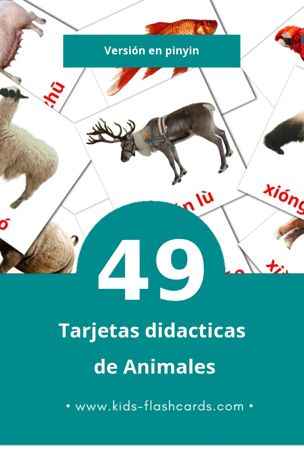 Tarjetas visuales de Dòngwù para niños pequeños (49 tarjetas en Pinyin)