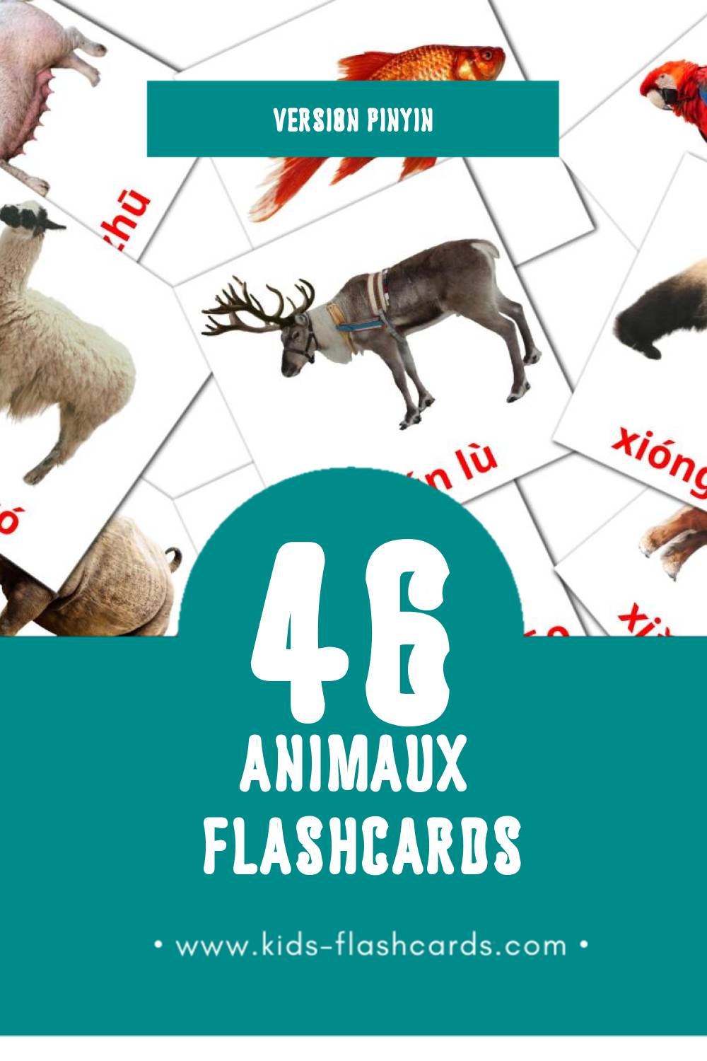 Flashcards Visual касатка pour les tout-petits (31 cartes en Pinyin)