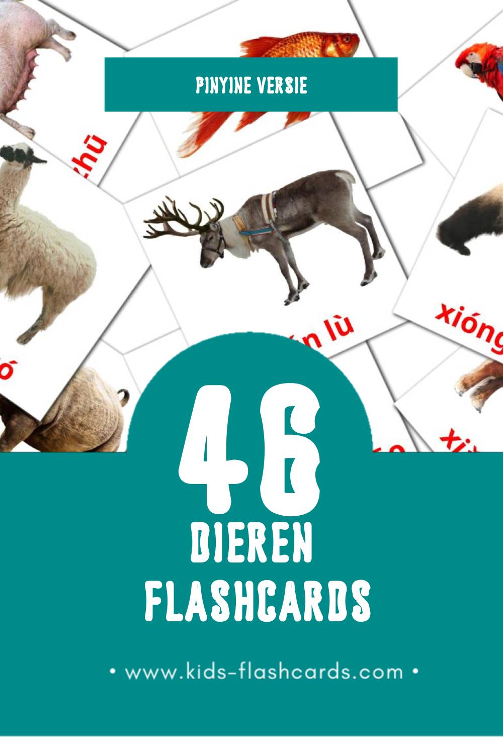 Visuele Dòngwù Flashcards voor Kleuters (46 kaarten in het Pinyin)