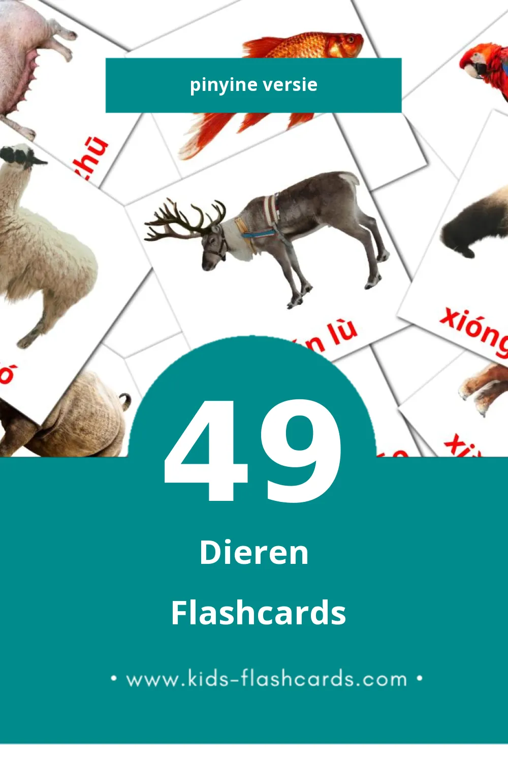 Visuele Dòngwù Flashcards voor Kleuters (49 kaarten in het Pinyin)