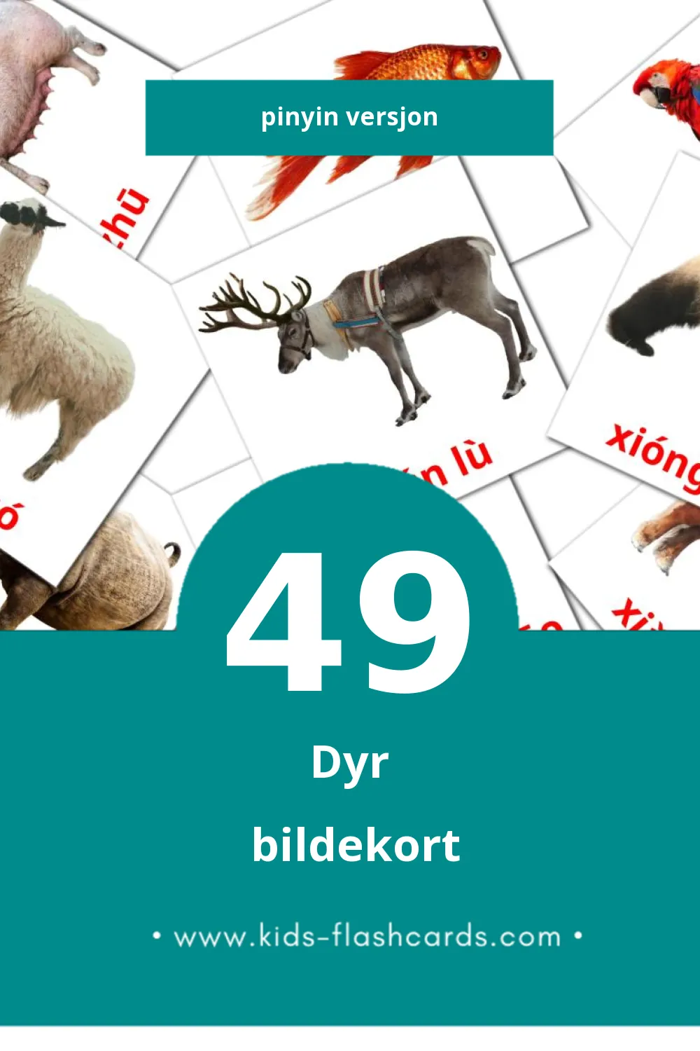 Visuelle Dòngwù bildekort for småbarn (49 kort på Pinyin)