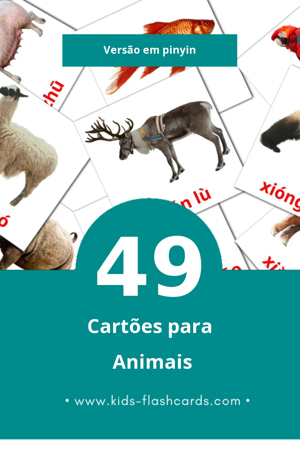 Flashcards de Dòngwù Visuais para Toddlers (49 cartões em Pinyin)