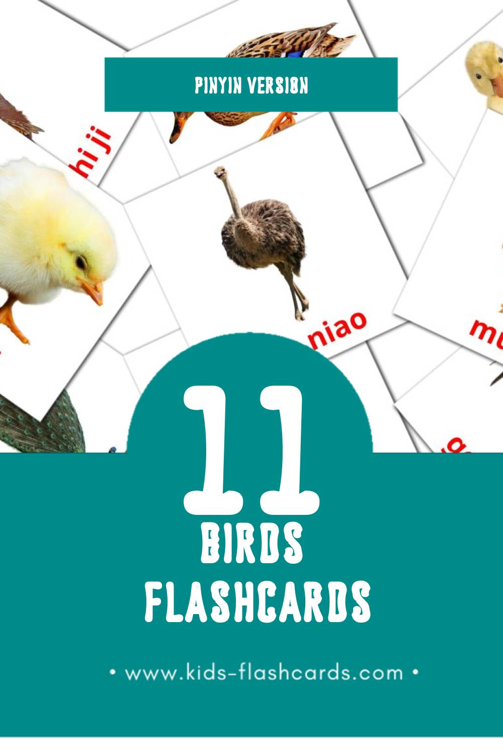 Visual Niǎo er Flashcards for Toddlers (11 cards in Pinyin)
