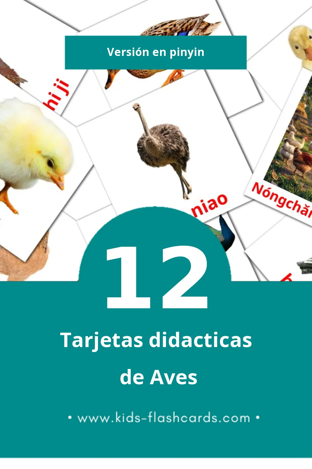 Tarjetas visuales de Niǎo er para niños pequeños (12 tarjetas en Pinyin)