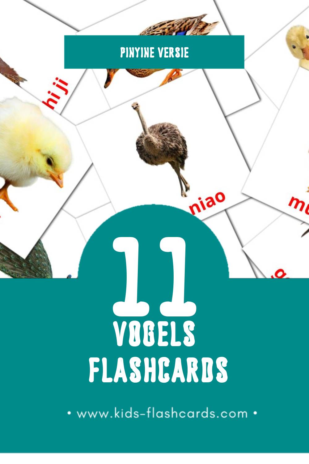 Visuele Niǎo er Flashcards voor Kleuters (11 kaarten in het Pinyin)