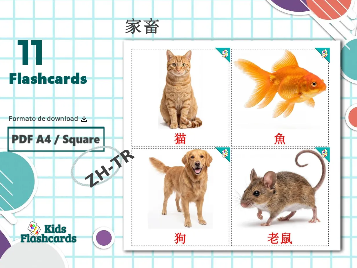 11 Cartões linguagem de Animais Domésticos GRÁTIS em 4 formatos PDF ...