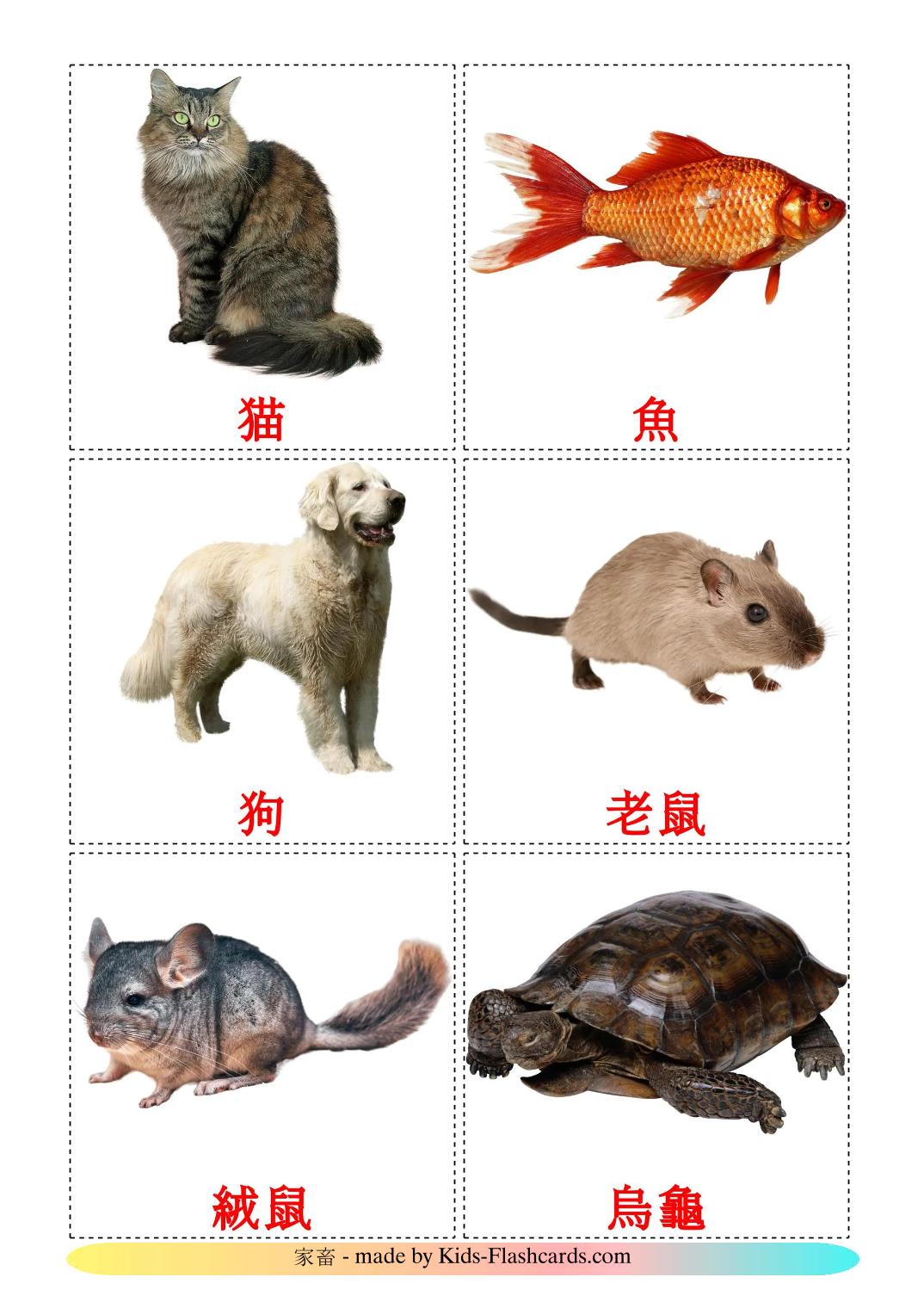 Domestic animals - 11 Free Printable chinese(Traditional) Flashcards 