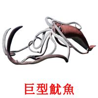 巨型魷魚 card for translate