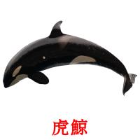 虎鯨 card for translate