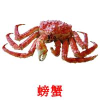 螃蟹 Bildkarteikarten