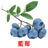 藍莓 picture flashcards